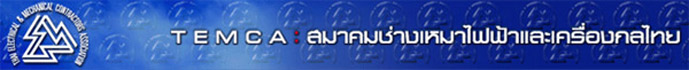 www.temcathai.com 